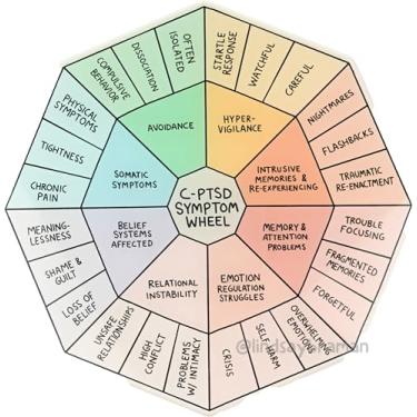 Imagem de Disco acrílico C-PTSD Symptom Wheel – 18 cm – Ferramenta de terapia informada sobre trauma para conscientização emocional e autorreflexão – Tabela de acrílico multicolorida rígida para conselheiros