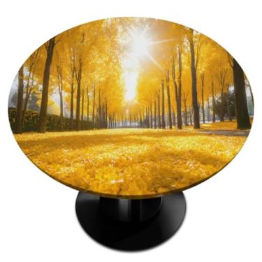 Imagem de hongjinglin Toalha de mesa redonda com borda elástica outono floresta dourada toalha de mesa redonda limpa para decoração de cozinha de 114 a 127 cm