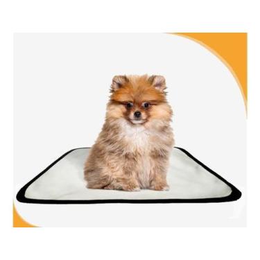 Imagem de Tapete Pet Lavável Adestramento Em Oferta 10 Un Pp 40X50Cm - Shelby Mo