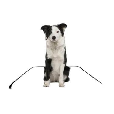 Imagem de Tapete Pet Lavável Prático Em Oferta 2 Un M1 70X100 Cm - Shelby Moda P