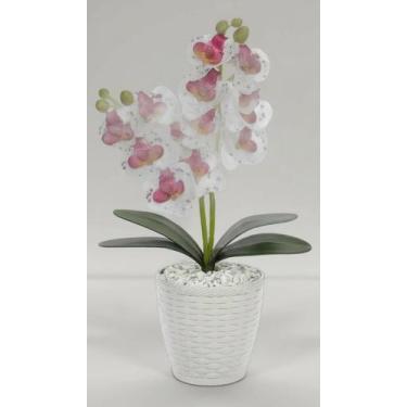 Imagem de Orquídea Artificial com Vaso Decorativo Premium - Congratulations Stor