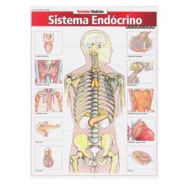 Imagem de Livro - Resumão Medicina - Sistema Endócrino Avançado
