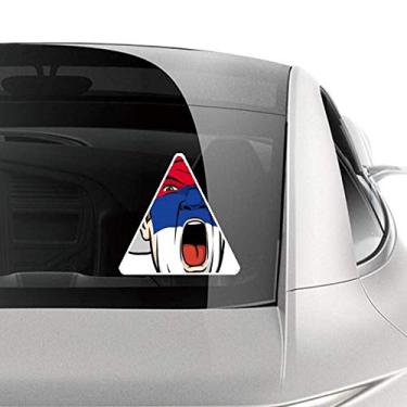 Imagem de DIYthinker Bandeira da Sérvia, cabeça de maquiagem facial gritando boné adesivo para carro motocicleta bicicleta bagagem decalque