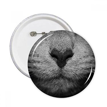 Imagem de Fotografia de gato animal, imagem de fotografia, alfinetes, emblema, botão, emblema, acessórios, decoração, 5 peças
