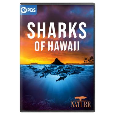 Imagem de Nature: Sharks Of Hawaii