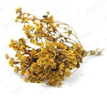 Imagem de Chuvisco Flor Desidratada Buque Flores Secas - Pense Flores, Amarelo