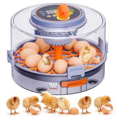 Imagem de Incubadoras automáticas de ovos para incubação, incubadora de 12 ovos com rotação automática de ovos e controle de umidade, aplicador de ovos, visualização de 360°, incubadoras de frango para