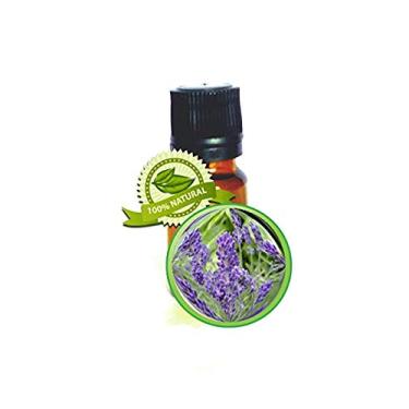 Imagem de Óleo essencial de lavanda (francês) - 15ml (1/2 oz) - 100% PURE Lavandula Hybrida var Grosso (Lavandin)