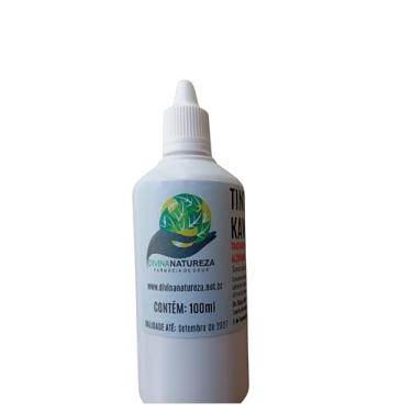 Imagem de Tintura de melissa 100 ml