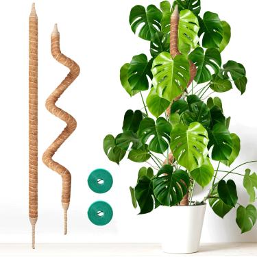 Imagem de Vanut Pacote com 2 mastros grandes de musgo de 152 cm para Monstera, suporte de trepadeira dobrável e resistente, filodendro, cacto espinha de peixe e plantas de casa tropicais internas, feito para
