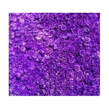 Imagem de Flor Sempre Viva Branca I Kit com ate 1.200 Flores Secas, Buquês, Decoração de Casamento e Eventos - Beleza Natural Eterna(Roxo,1buquê)