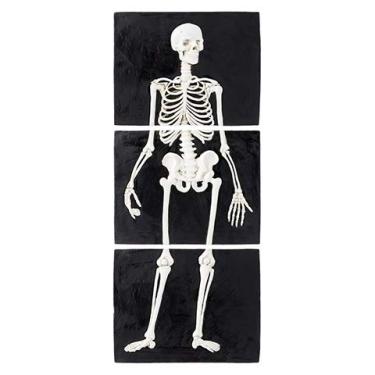 Imagem de Darice 30058112 Skeleton Stepping Stones, 11.75 X 9", 3Piece, Multicolor