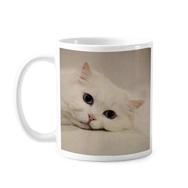 Imagem de Gato branco gatinho animal de estimação relaxar caneca cerâmica café porcelana copo talheres