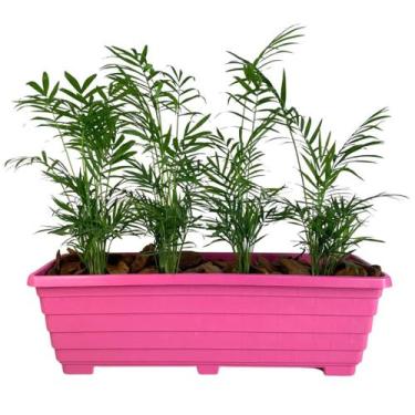 Imagem de Jardineira Floreira 50cm De Plástico Para Plantas E Flores  - Goyama, 