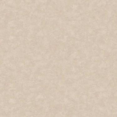 Imagem de Papel de Parede Nature Cimento Queimado Cinza TONU8009 - Topli