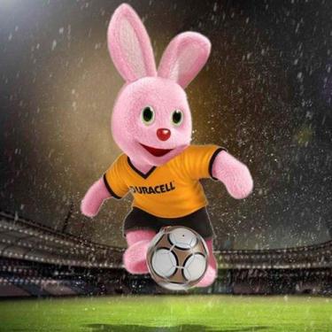 Imagem de Pilha Alcalina Pequena AA Cartela Com 12 Unidades - Duracell