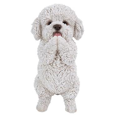 Imagem de Brincando de filhote de maltês.