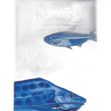 Imagem de Livro Peixes Do Rio Tibagi Uma Abordagem Ecológica