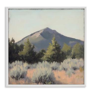 Imagem de Stupell Industries Tucson Mountain Landscape Gray Framed Giclee Art, design by Petal Prints Design, 17 x 17