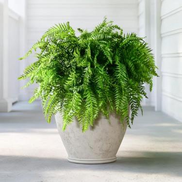 Imagem de Yarmare Plantas artificiais de samambaia, 10 peças, plantas artificiais de samambaia, caules falsos, plantas, arbustos falsos, vegetação para ambientes internos e externos, varanda, pátio, janela