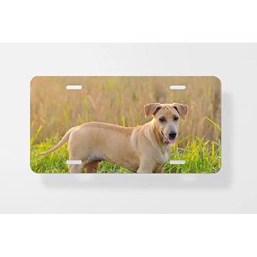Imagem de Capa para placa de carro Thai Ridgeback para cachorro – Capa para placa de carro – Capa para placa de carro 15 x 30 cm