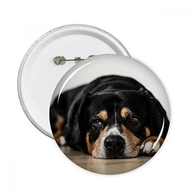 Imagem de Fotografia de animal de estimação para cães, imagem de chão, pinos redondos, emblema, botão, emblema, acessórios, decoração, 5 peças