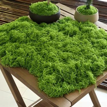 Imagem de 1 tapete verde musgo preservado vibrante 100 gramas - decoração de terrário de aparência natural com mini grama sintética para artesanato DIY e exibições de mesa, verde, A