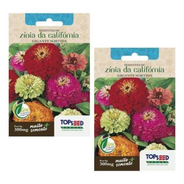 Imagem de Kit 2 Sementes Zinia Gigante Califórnia Da Sortida Para Vaso - Topseed