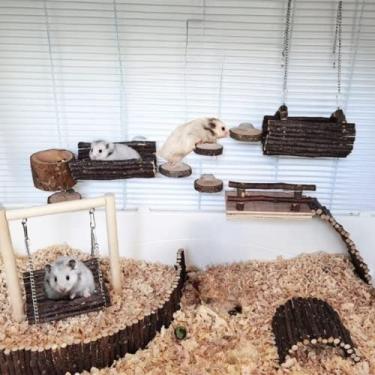 Imagem de Conjunto de brinquedos para hamster, 12 peças, para hamster, playground, de madeira, para atividades para hamsters, pequenos animais, escaladas, camas, escaladas, escadas, rampas, pontes, plataforma para balanço, para gerbil, hamster, chinchila, rato e rato