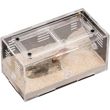 Imagem de Ninho de formigas de concreto, expansão ilimitada, fazenda de formigas com torre de água, casa de formiga altamente hidratante, oficina, caixa de criação de insetos, formicarium, a