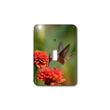 Imagem de 3dRose Lsp_63595_1" Zinnias laranja e beija-flor interruptor único