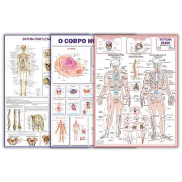 Imagem de Kit 3 Mapas Do Corpo Humano: Esquelético 1 + Esquelético 2 + Corpo Hum
