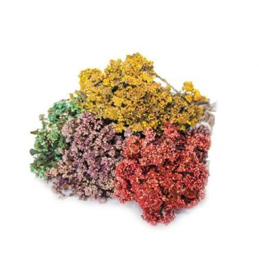 Imagem de Chuvisco Flor Desidratada Buque Flores Secas - Tem Flores