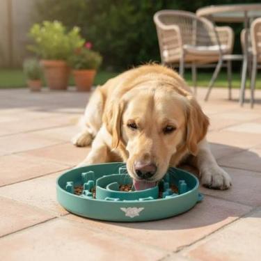 Imagem de Comedouro Cachorro Lento Antiengasgo Silicone Antiderrapante Fácil Lim