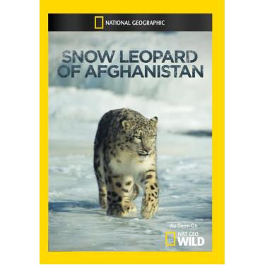 Imagem de Snow Leopard Of Afghanistan