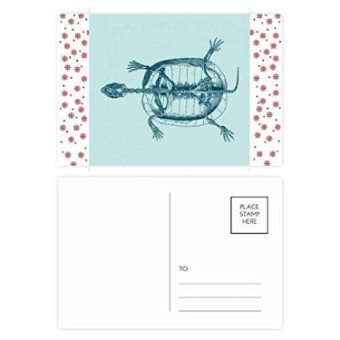 Imagem de Esqueleto Esboço Tartaruga Animal Natal Flor Celebração Cartão postal Bênção