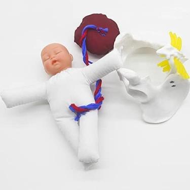 Imagem de Modelo De Pelve Feminina, Modelo Anatômico De Demonstração De Parto Destacável Em Tamanho Mini/Tamanho Real, Modelo De Treinamento De Obstetrícia Para Ensino De Ginecologia