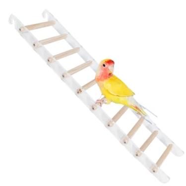 Imagem de Escada de escalada de papagaio, gaiola de pássaro, periquito, brinquedo para animais de estimação, escada de madeira engraçada, acrílica (C)