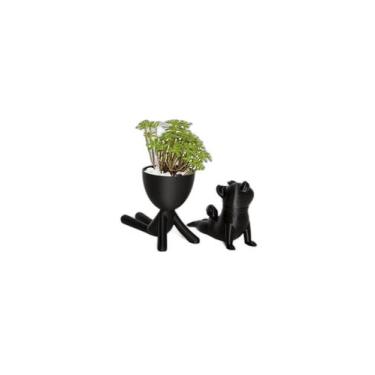 Imagem de Bob Yoga e Scott Yoga - Pet Family - Galanta, Preto