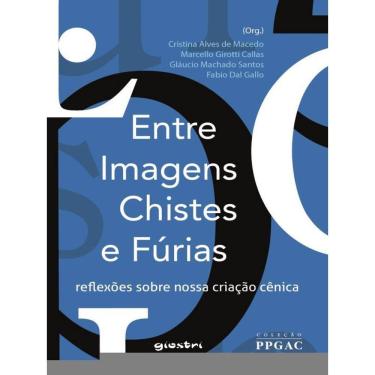 Imagem de Entre Imagens, Chistes E Fúrias: Reflexões Sobre Nossa Criação Cênica - Vol. 1