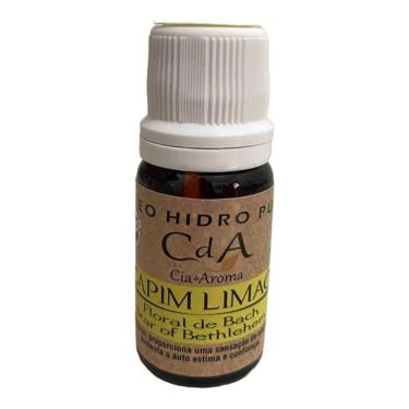 Imagem de Óleo Hidrossolúvel Para Umidificadores 10Ml-Escolha O Aroma