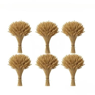 Imagem de 400 Hastes De Trigo Seco Para Decoração Festa Junina Arraiá Enfeites Artigos Mesa Arranjo Elegante(06 Maços (240 Hastes))