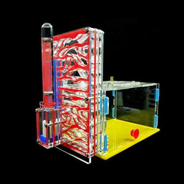 Imagem de Área de Alimentação Design T DIY Villa Insetos da Fazenda Casa Pet Mania Ninho Formigas