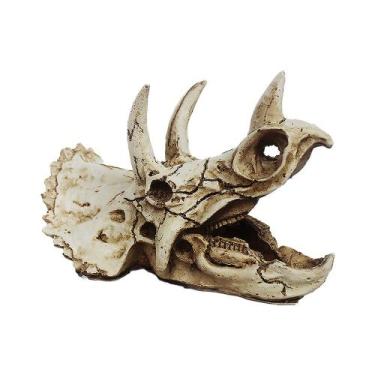 Imagem de Enfeite Nomoy Pet Cranio Tricepat - Nomoypet