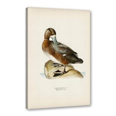 Imagem de Pôster de arte de parede vintage com estampa de pato rústica, pássaros, lago, natureza, retrô, pintura, quadros, decoração de quarto de fazenda (SKU16,20.3x30.5 cm = (20x30cm), emoldurado (tela