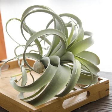 Imagem de Planta Verde Simulada de Cana Ar do Abacaxi Artificial Falsa Plástico para Decoração Parede Casamento Lar e Escritório