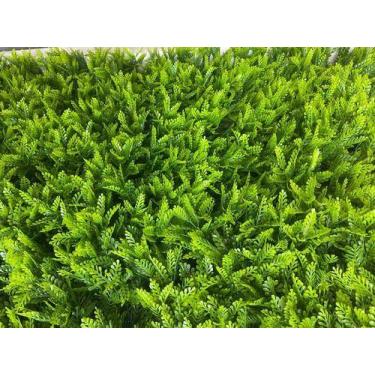 Imagem de Placa De Grama Artificial Para Decoração Parede Samambaia - CASA3D DEC