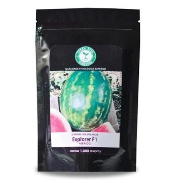 Imagem de Sementes De Melancia Híbrida Explorer 100 unidades - SEEDS