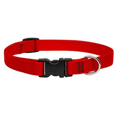 Imagem de LupinePet Basics: coleira ajustável vermelha de 22,8 a 35,5 cm para cães pequenos