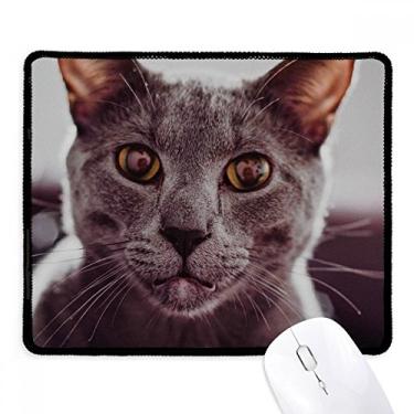 Imagem de Mousepad com fotografia de gato cinza com borda costurada, tapete de borracha para jogos